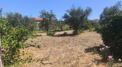 House T0 in Travancinha of 157 m²