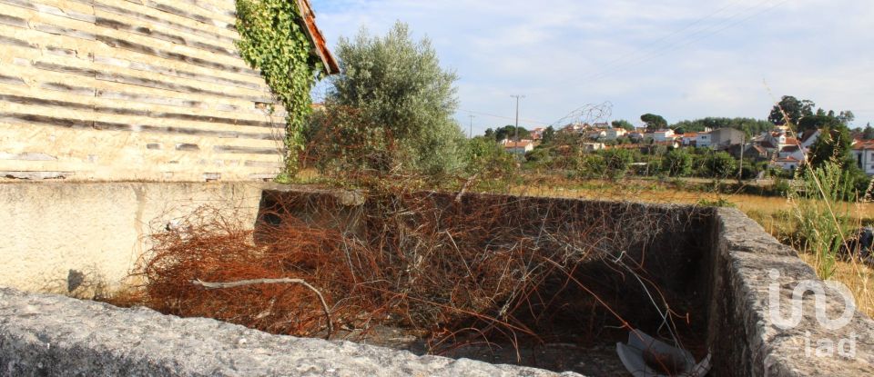 Terreno em Bobadela de 8 000 m²