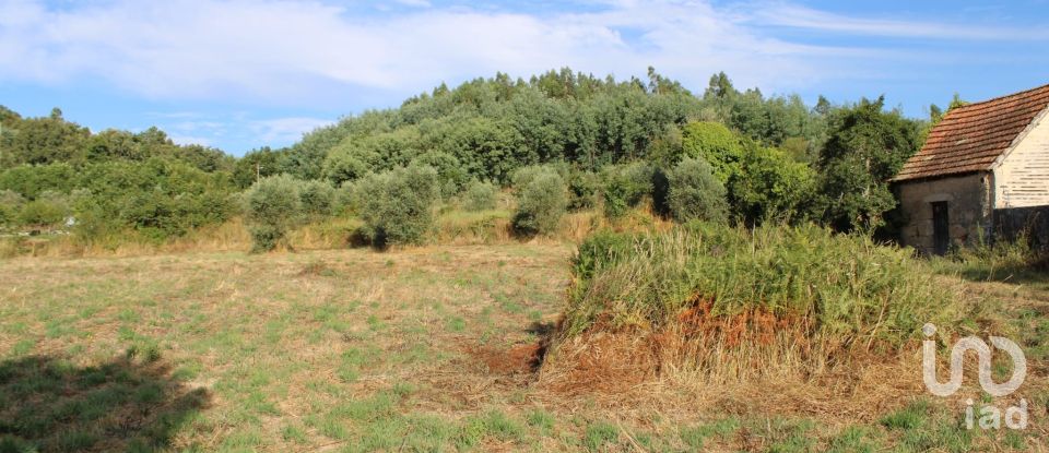 Terreno em Bobadela de 8 000 m²