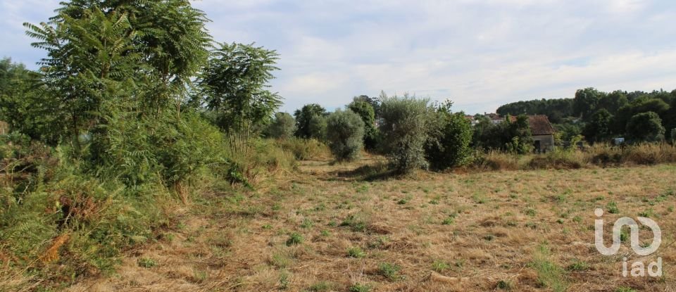 Terreno em Bobadela de 8 000 m²
