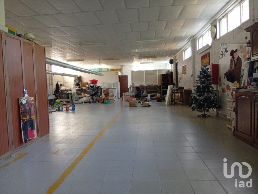 Terreno em Ucha de 695 m²