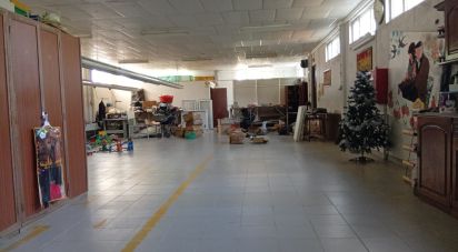 Land in Ucha of 695 m²