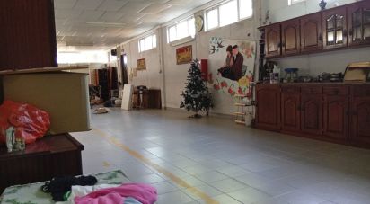 Land in Ucha of 695 m²