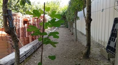 Land in Ucha of 695 m²