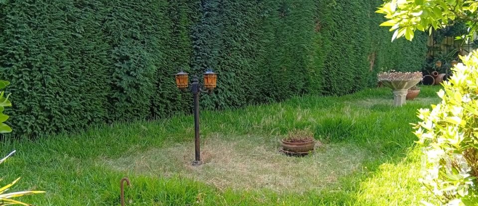 Terreno em Ucha de 695 m²