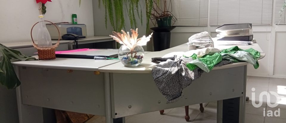 Terreno em Ucha de 695 m²