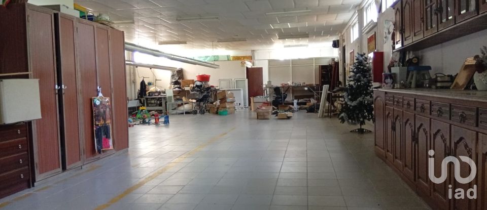 Terreno em Ucha de 695 m²