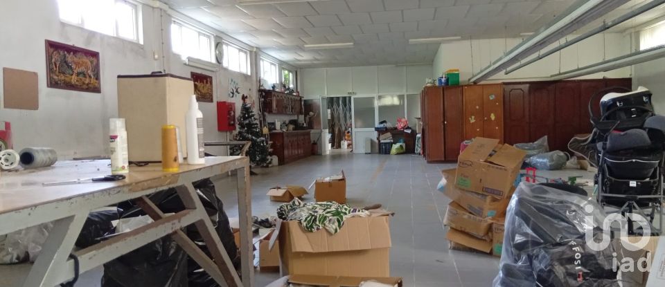 Terreno em Ucha de 695 m²