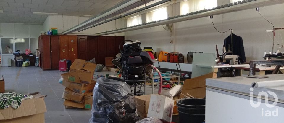 Terreno em Ucha de 695 m²