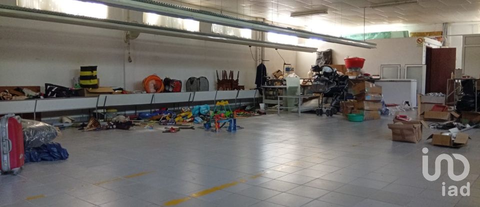 Terreno em Ucha de 695 m²