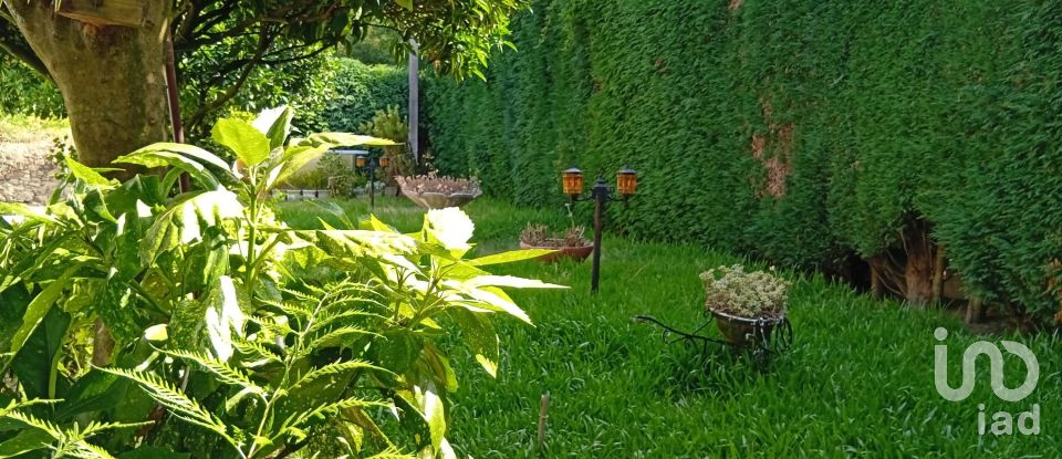 Terreno em Ucha de 695 m²