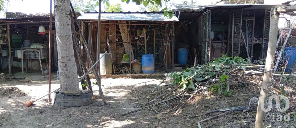 Terreno em Ucha de 695 m²