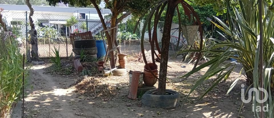 Terreno em Ucha de 695 m²