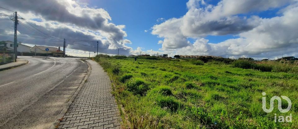 Land in Cadaval e Pêro Moniz of 4,310 m²
