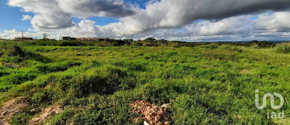 Land in Cadaval e Pêro Moniz of 4,310 m²