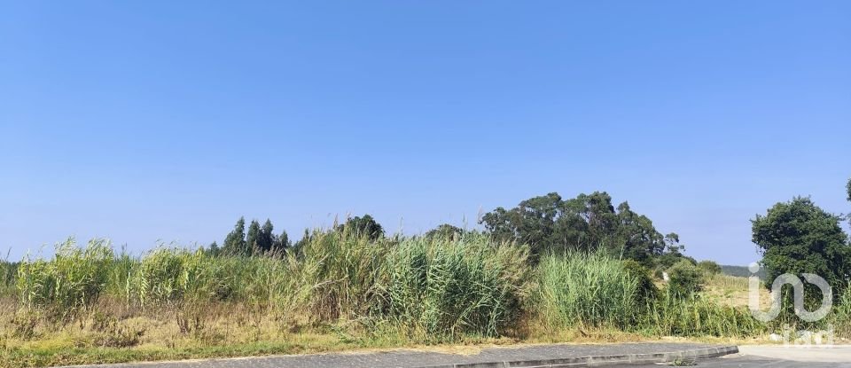 Land in Cadaval e Pêro Moniz of 4,310 m²