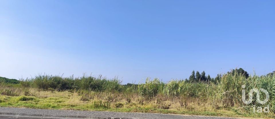 Land in Cadaval e Pêro Moniz of 4,310 m²