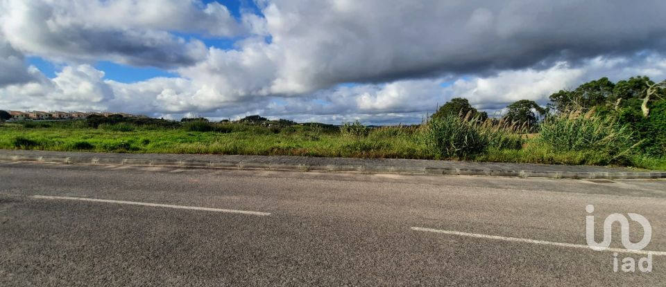 Land in Cadaval e Pêro Moniz of 4,310 m²