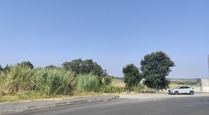 Terrain à Cadaval e Pêro Moniz de 4 310 m²