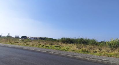 Terrain à Cadaval e Pêro Moniz de 4 310 m²
