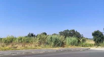 Terrain à Cadaval e Pêro Moniz de 4 310 m²