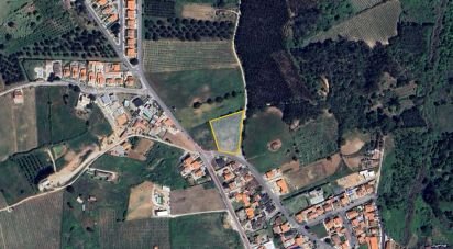 Terrain à Cadaval e Pêro Moniz de 4 310 m²