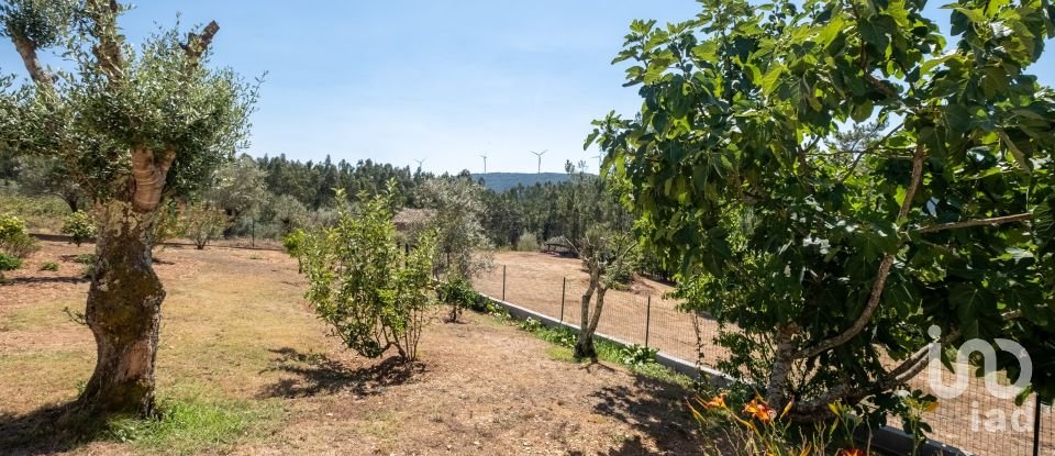 Moradia T3 em Carvalho de 192 m²