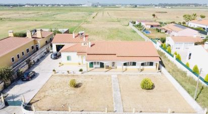 House T4 in Salvaterra de Magos e Foros de Salvaterra of 210 m²