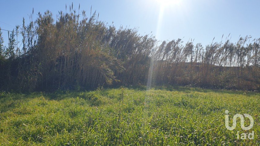 Land in Ferrel of 1,200 m²