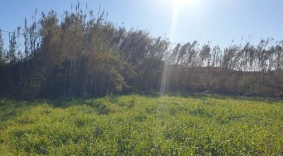 Terreno em Ferrel de 1 200 m²