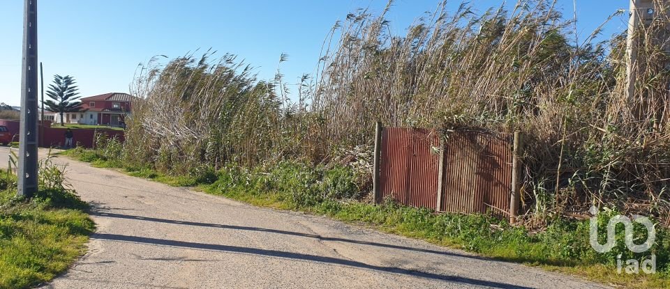 Land in Ferrel of 1,200 m²