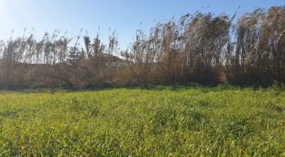 Terreno em Ferrel de 1 200 m²