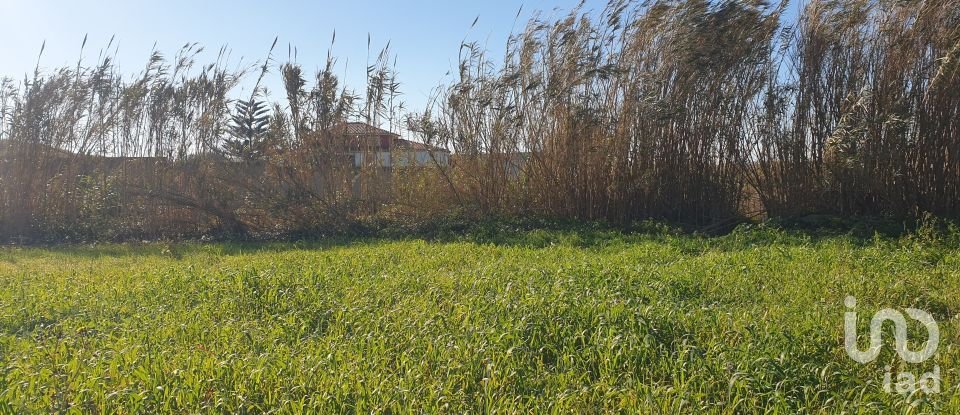 Land in Ferrel of 1,200 m²