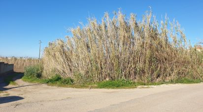 Terreno em Ferrel de 1 200 m²