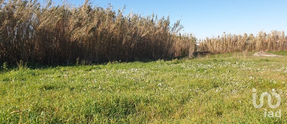 Land in Ferrel of 1,200 m²