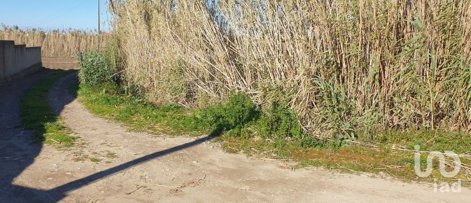 Land in Ferrel of 1,200 m²