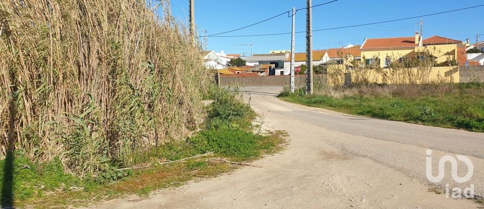 Land in Ferrel of 1,200 m²