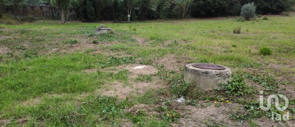 Terrain à Caldas da Rainha - Santo Onofre e Serra do Bouro de 4 000 m²