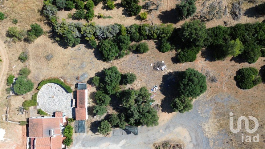 Quinta T0 em Albergaria-a-Velha e Valmaior de 114 m²