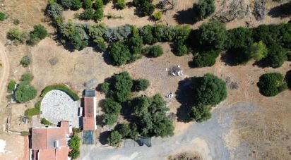 Ferme T0 à Albergaria-a-Velha e Valmaior de 114 m²