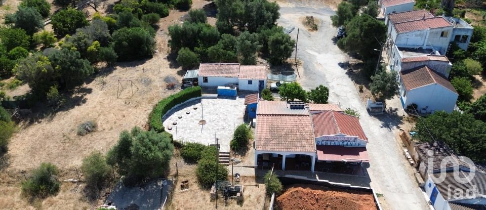 Quinta T0 em Albergaria-a-Velha e Valmaior de 114 m²