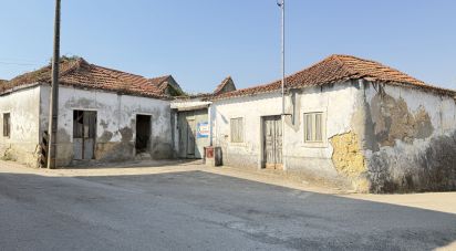 Village house T3 in Abitureiras of 40 m²