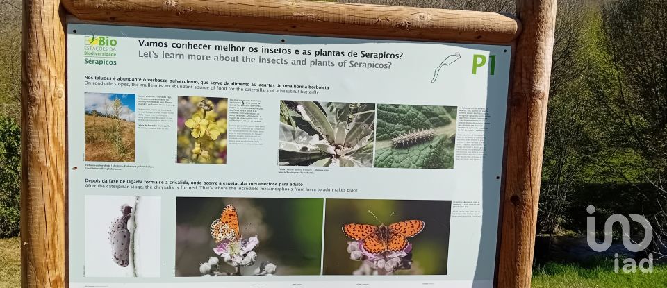 Lodge T2 in Vale de Frades e Avelanoso of 85 m²