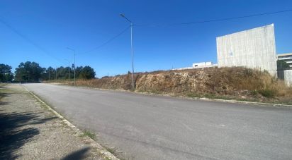 Terrain à bâtir à Valongo de 5 186 m²