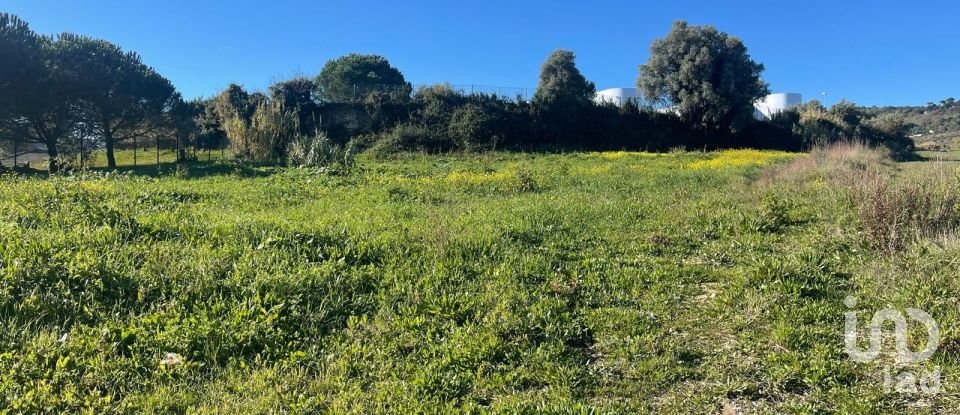 Terreno em Arruda dos Vinhos de 3 160 m²