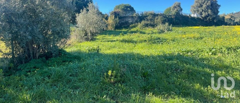 Terreno em Arruda dos Vinhos de 3 160 m²