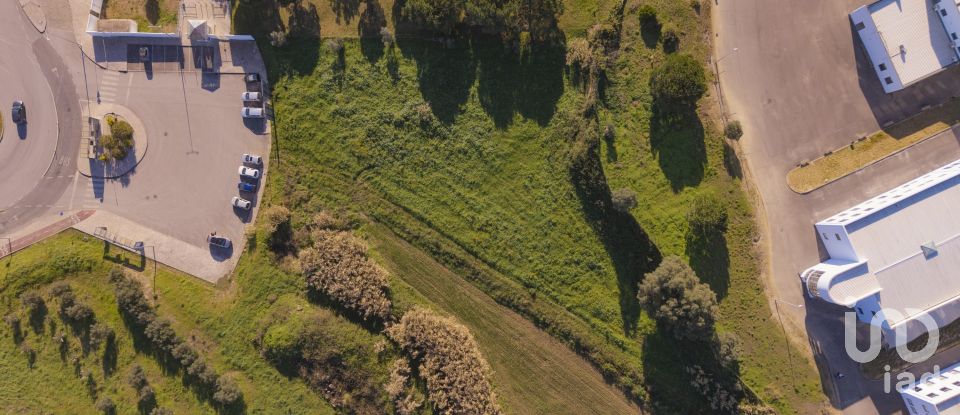 Terreno em Arruda dos Vinhos de 3 160 m²