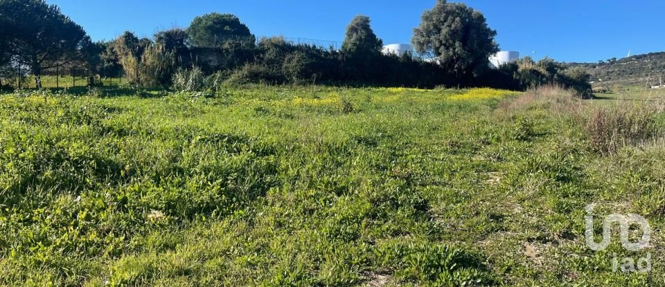 Terreno em Arruda dos Vinhos de 3 160 m²