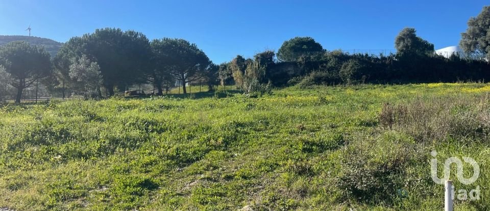 Terreno em Arruda dos Vinhos de 3 160 m²