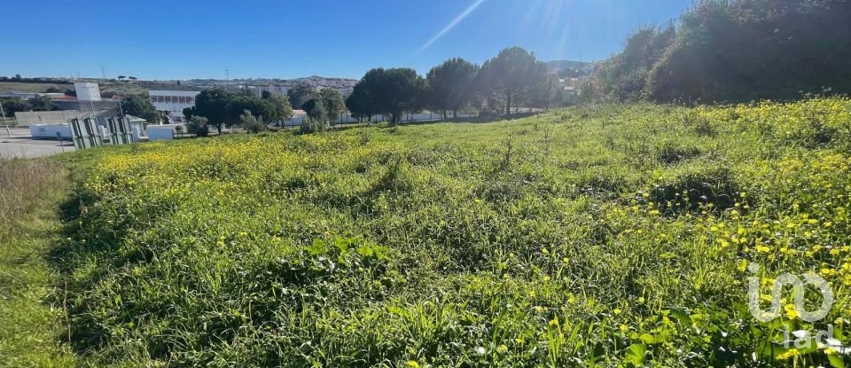 Terreno em Arruda dos Vinhos de 3 160 m²